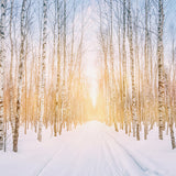 Winter Snowy Forest Park Sunshine Backdrop UK M11-47