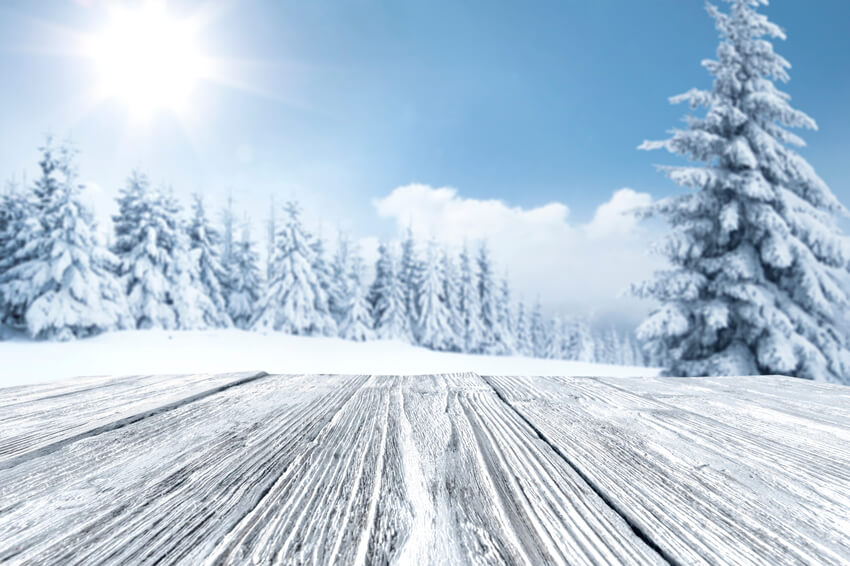 Winter Snowy Tree Woods Landscape Backdrop UK M11-48