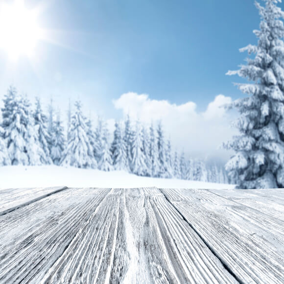 Winter Snowy Tree Woods Landscape Backdrop UK M11-48