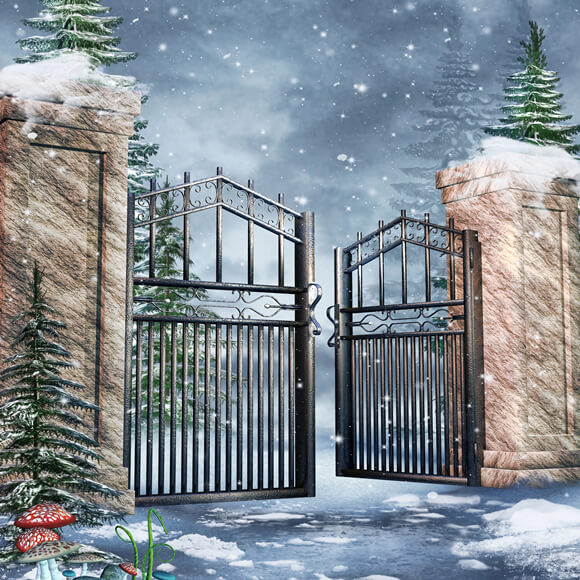 Fantasy Winter Snow Gate Forest Backdrop UK M11-52