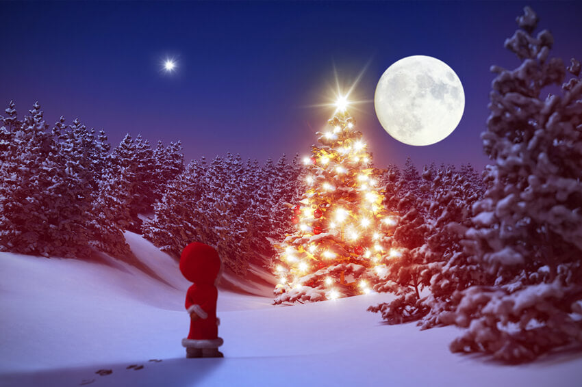 Winter Snowy Forest Night Moon Backdrop UK M11-61