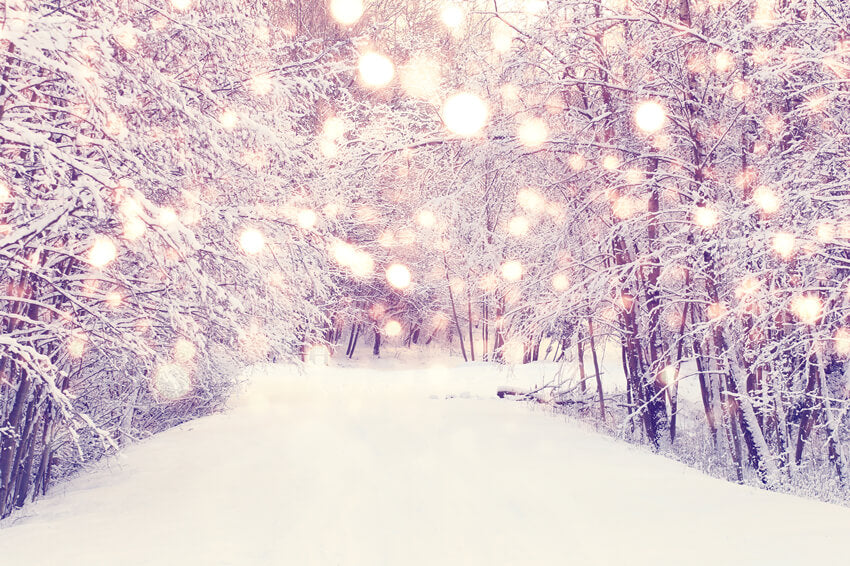 Winter Snowy Forest Path Landscape Backdrop UK M11-62