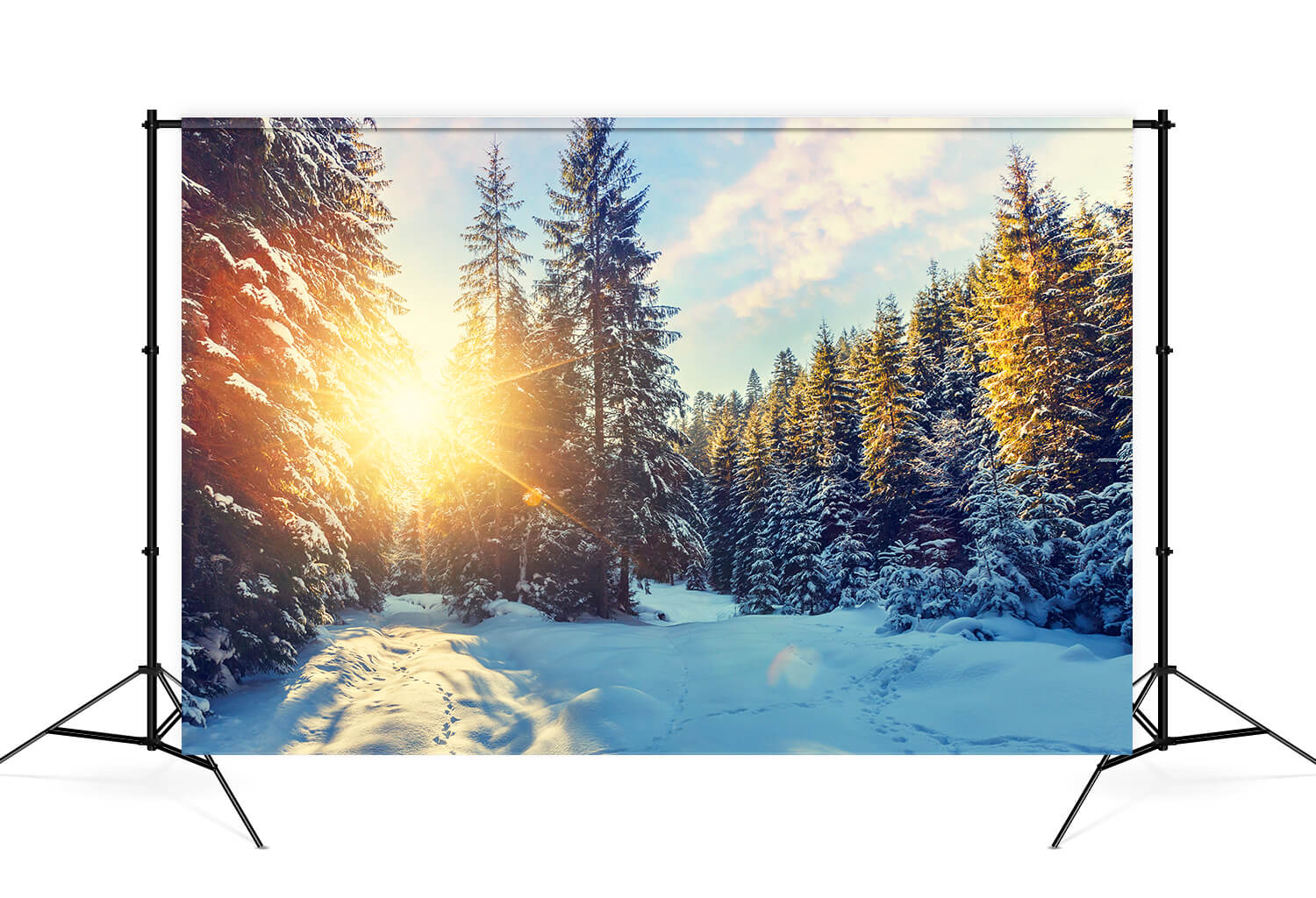 Winter Forest Snow Sunshine Scenery Backdrop UK M11-63