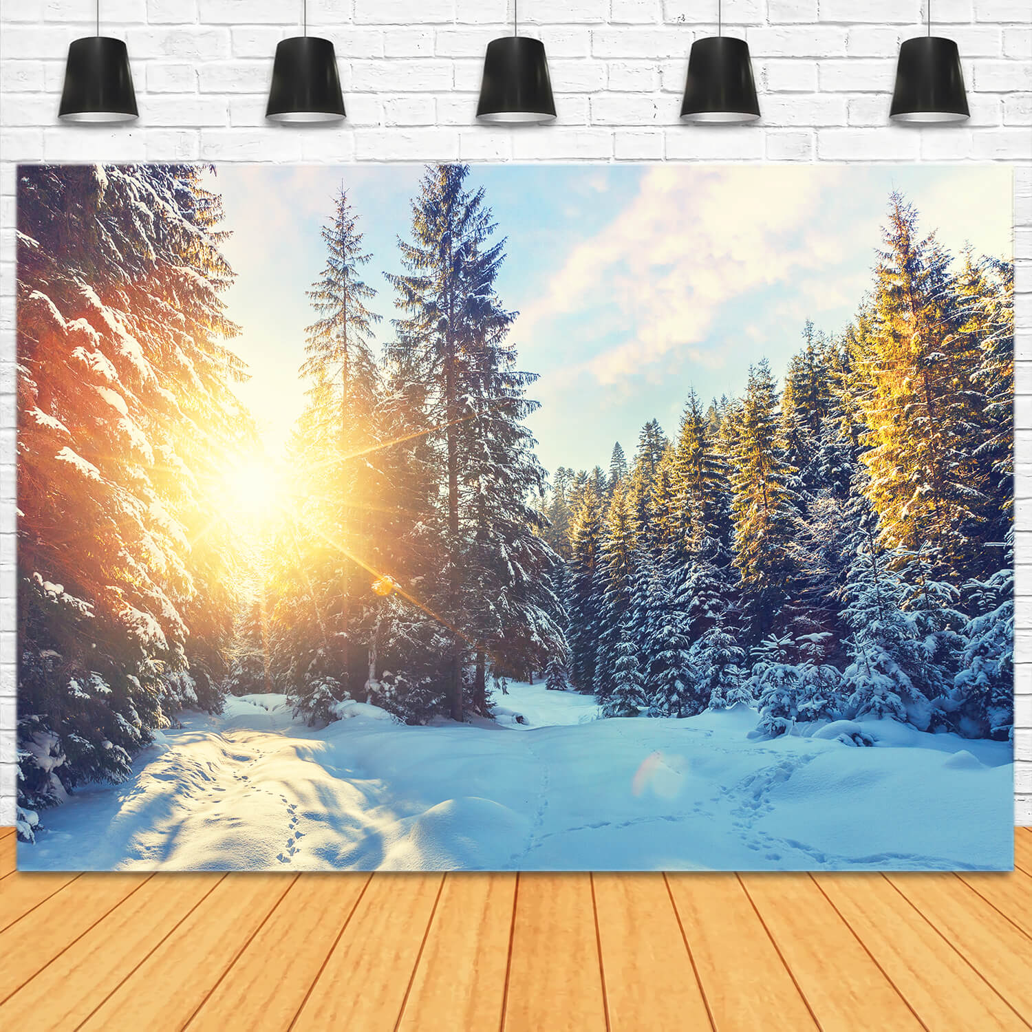 Winter Forest Snow Sunshine Scenery Backdrop UK M11-63