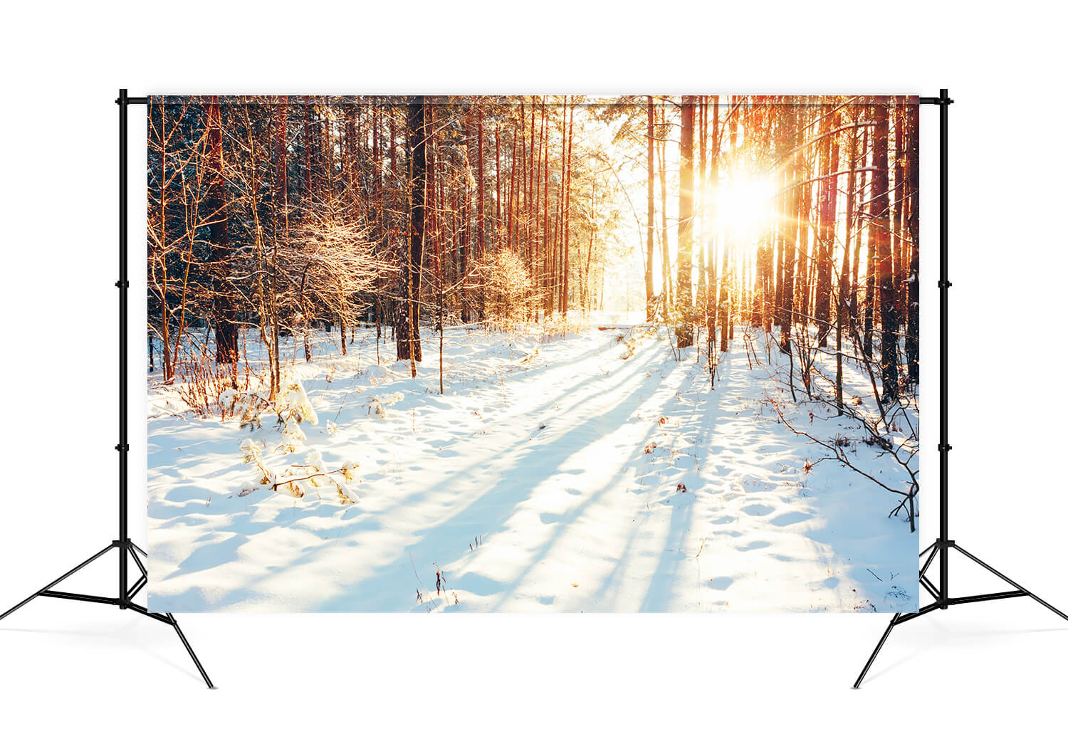 Winter Forest Path Sunlight Snow Backdrop UK M11-64