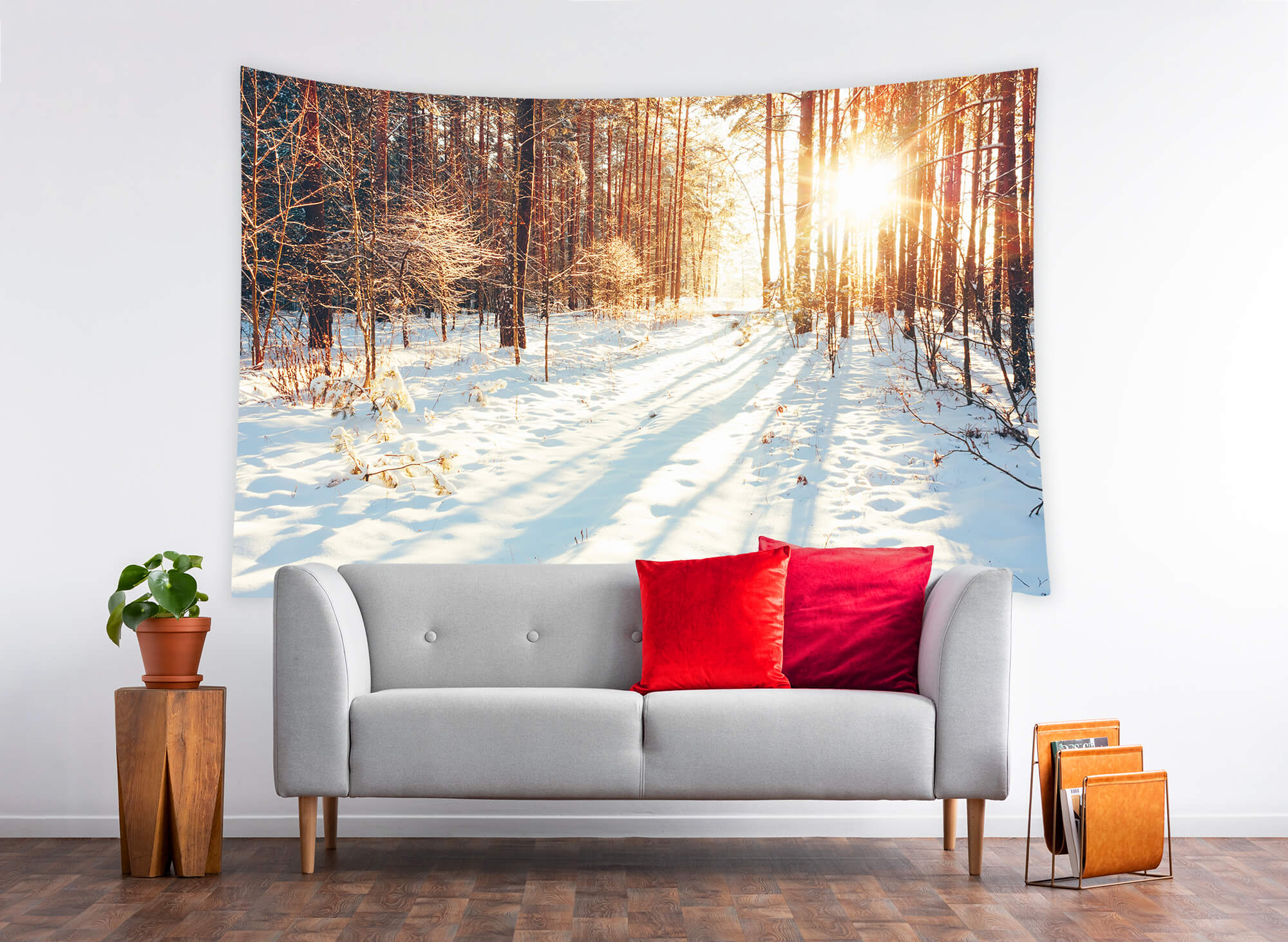 Winter Forest Path Sunlight Snow Backdrop UK M11-64