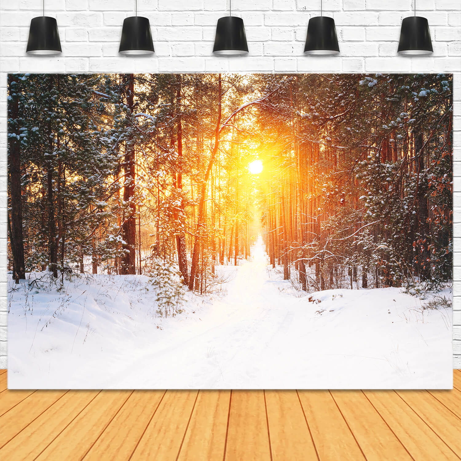 Winter Forest Sunrise Glow Landscape Backdrop UK M11-65