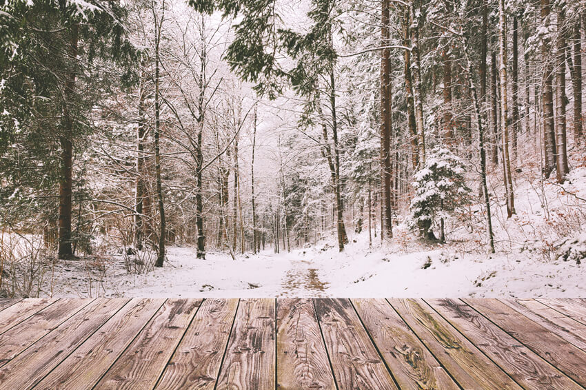 Winter Snow Forest Landscape Wood Backdrop UK M11-73