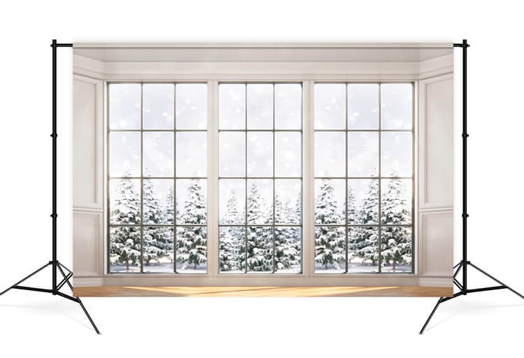 Winter Snowy Day Glass Window Snow Covered Holly Tree Backdrop M12-01