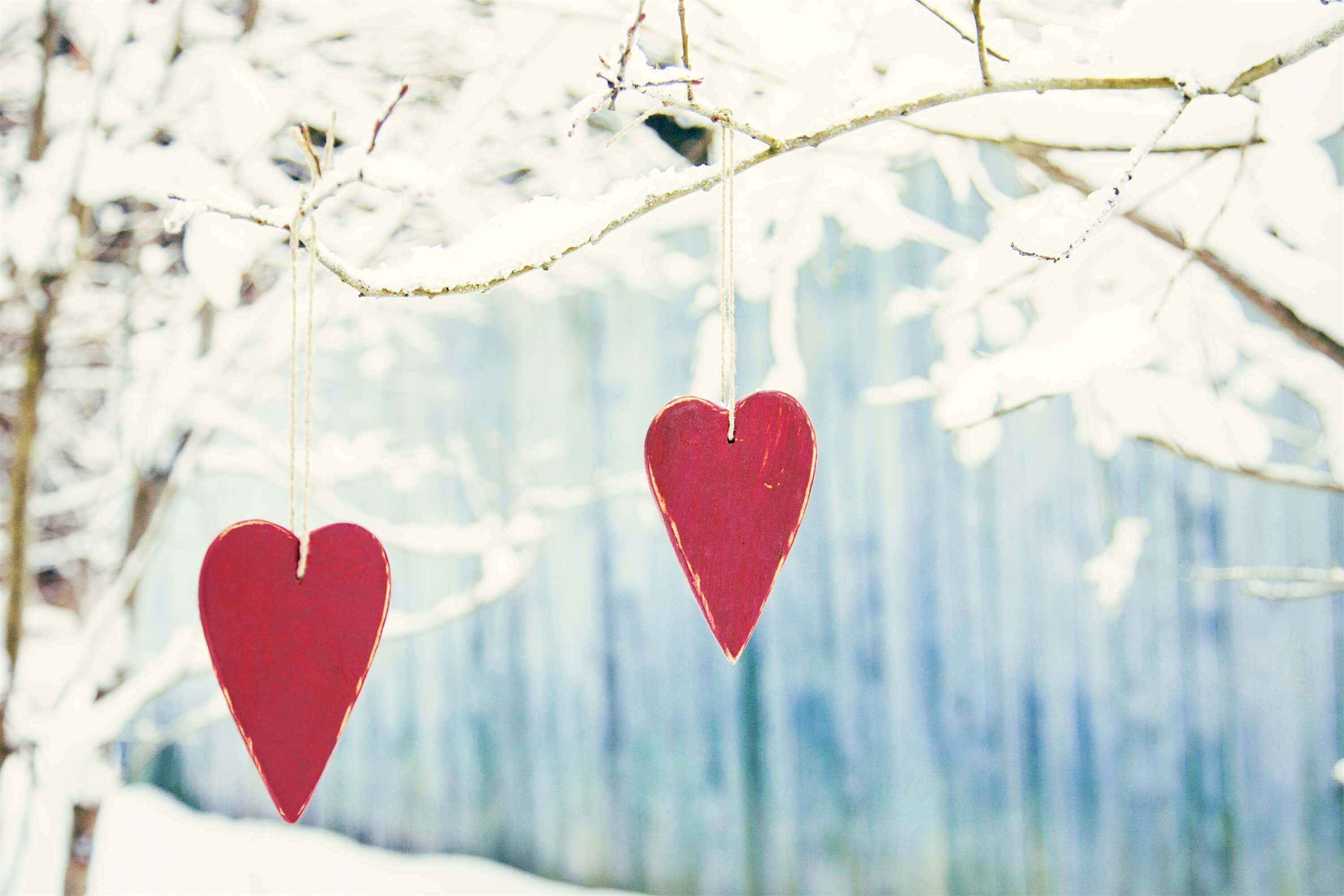 Winter Snowy Tree Branch Hanging Love Wooden Plaque Romantic Backdrop M12-08