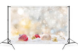 Christmas Snowy Light Spots Fantasy Balls Decoration Backdrop M12-30