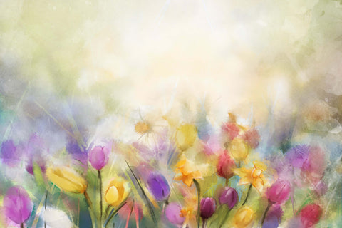 Oil Painting Hazy Colourful Tulips Dream Backdrop M12-38