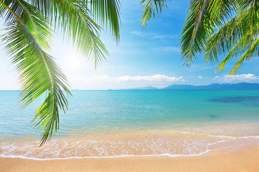 Palm Tree Tropical Beach Photography Backdrop UK M5-117