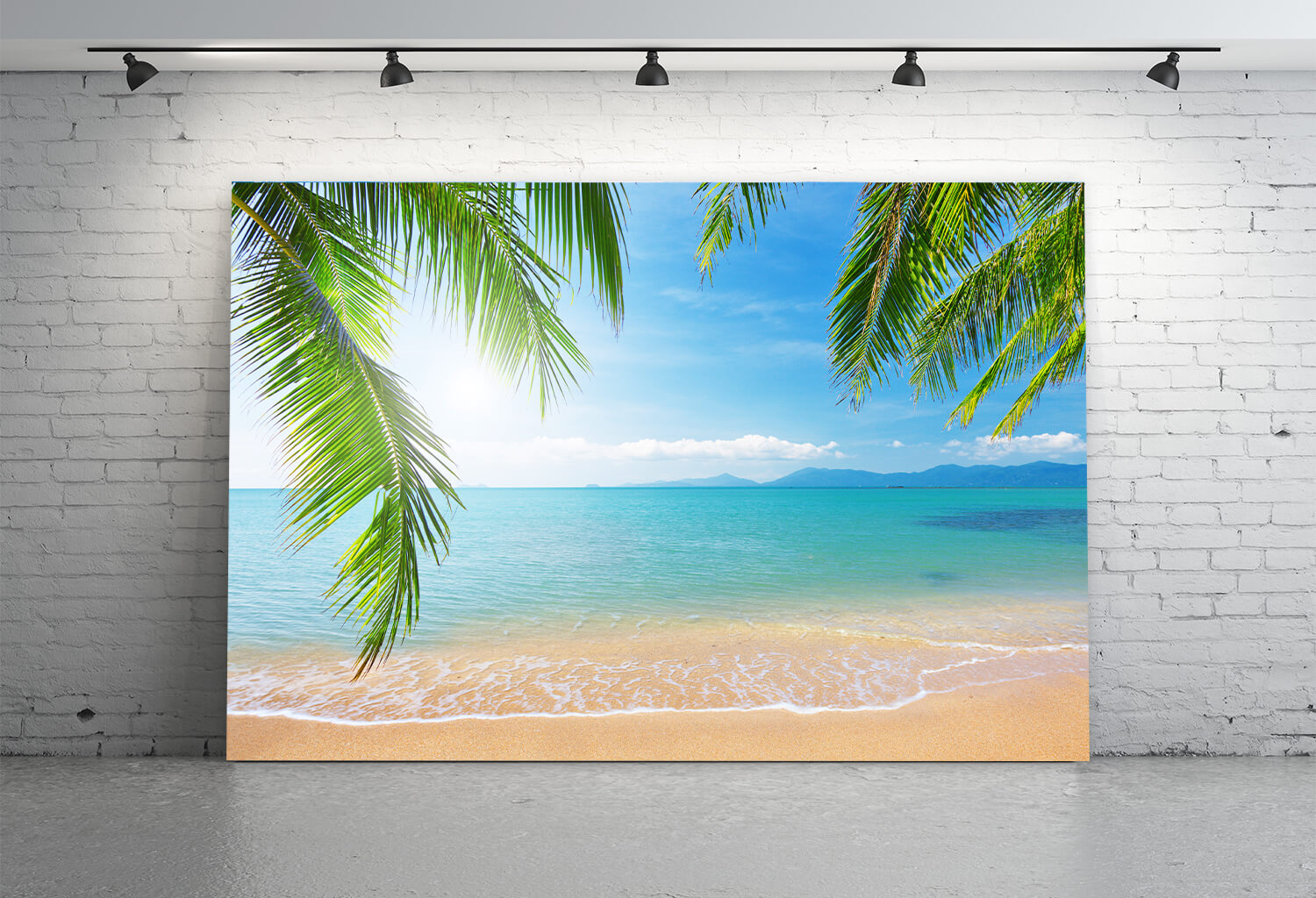 Palm Tree Tropical Beach Photography Backdrop UK M5-117