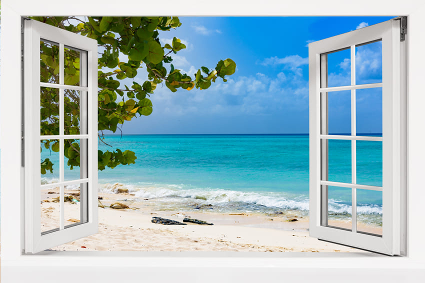 Blue Ocean Palm Tree Window View Backdrop UK M5-118