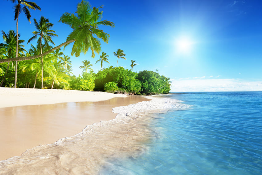 Summer Beach Blue Sea Palm Tree Backdrop UK M5-127