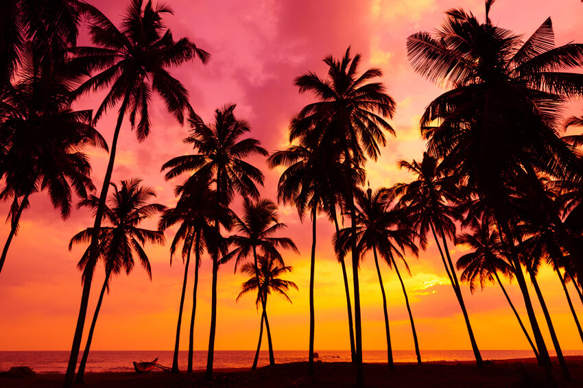 Seaside Sunset Palm Trees Summer Backdrop UK M5-130