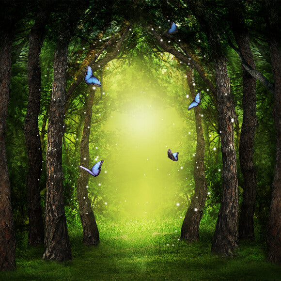 Mythical Forest Butterflies Magic Light Backdrop UK M5-159