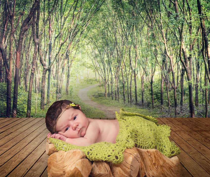 Enchanting Forest Lane Trees Wood Floor Backdrop UK M5-161