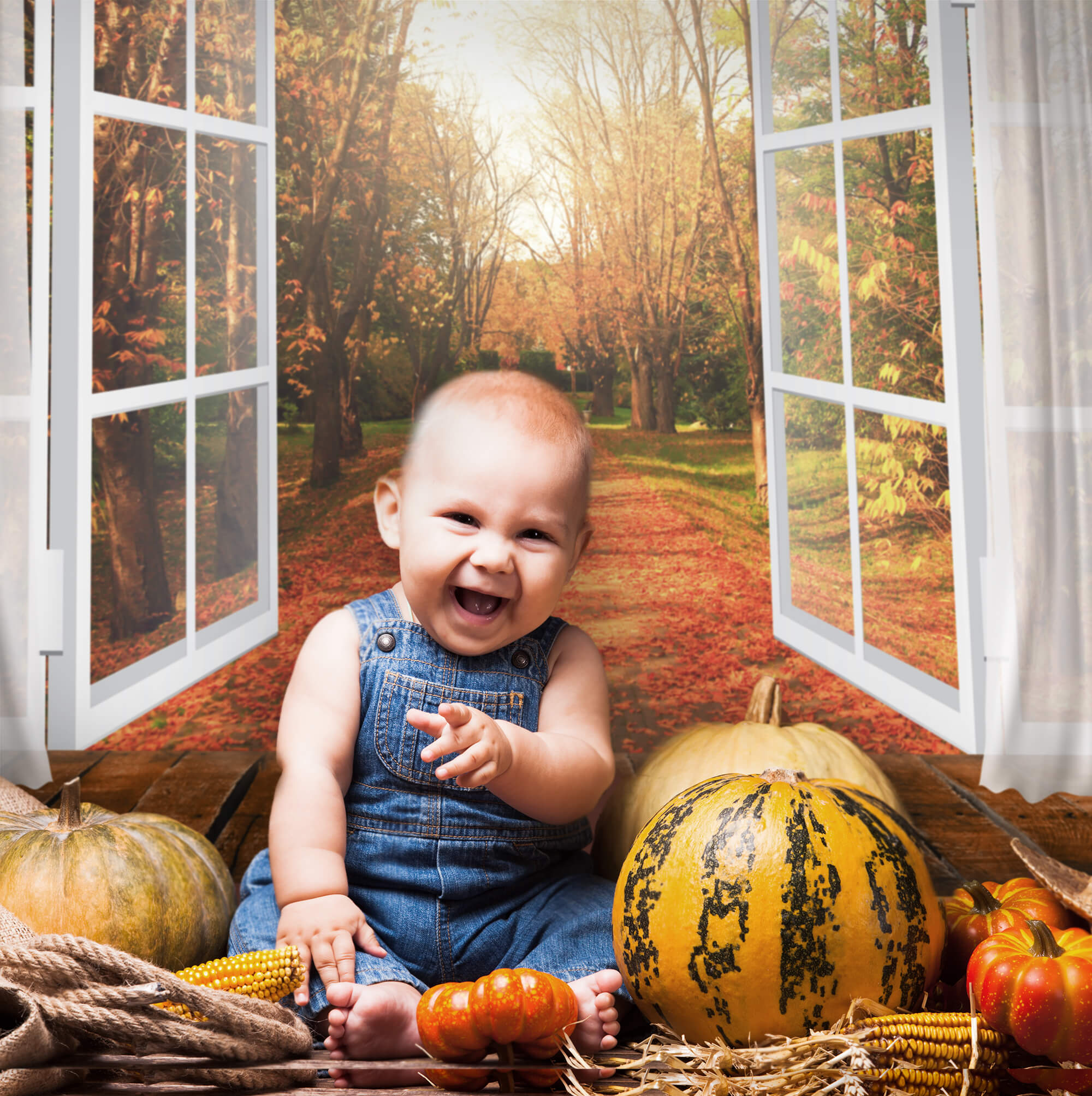 Autumn Window View Maple Leaves Backdrop UK M6-101