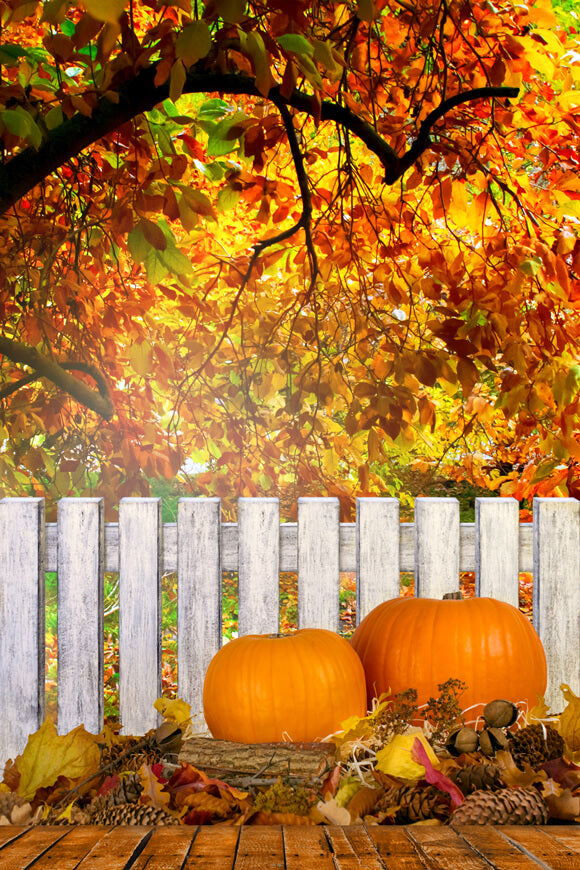 Maple Leaves Fence Pumpkins Autumn Backdrop UK M6-103