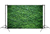 Green Ivy Wall Backdrop for Photo Booth UK M6-117