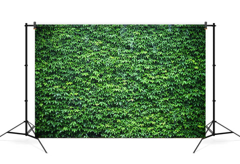 Green Ivy Wall Backdrop for Photo Booth UK M6-117