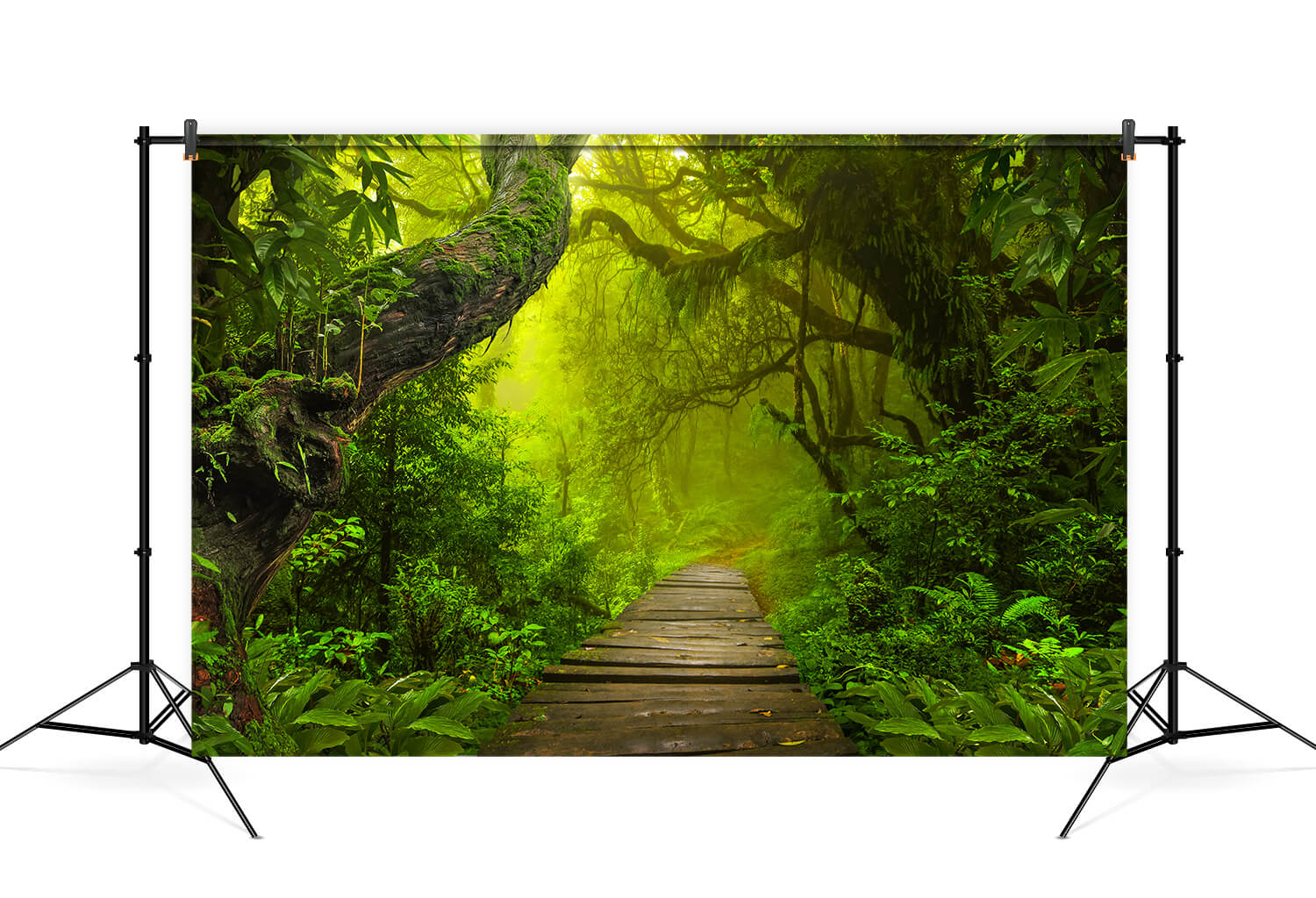 Tropical Rainforest Jungle Photography Backdrop UK M6-120