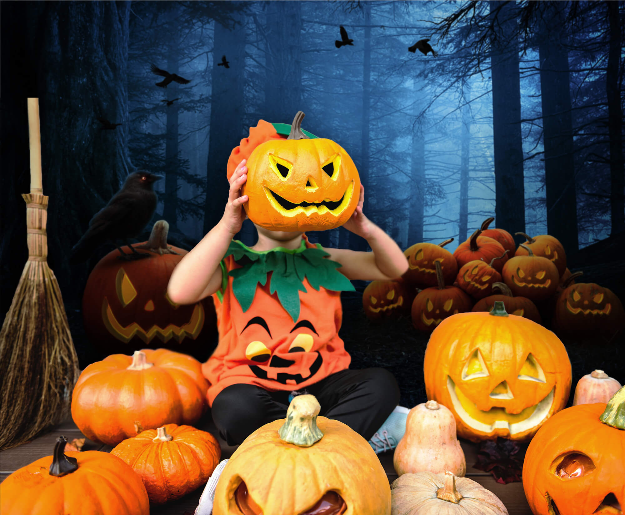 Spooky Forest Night Pumpkin Halloween Backdrop UK M6-122