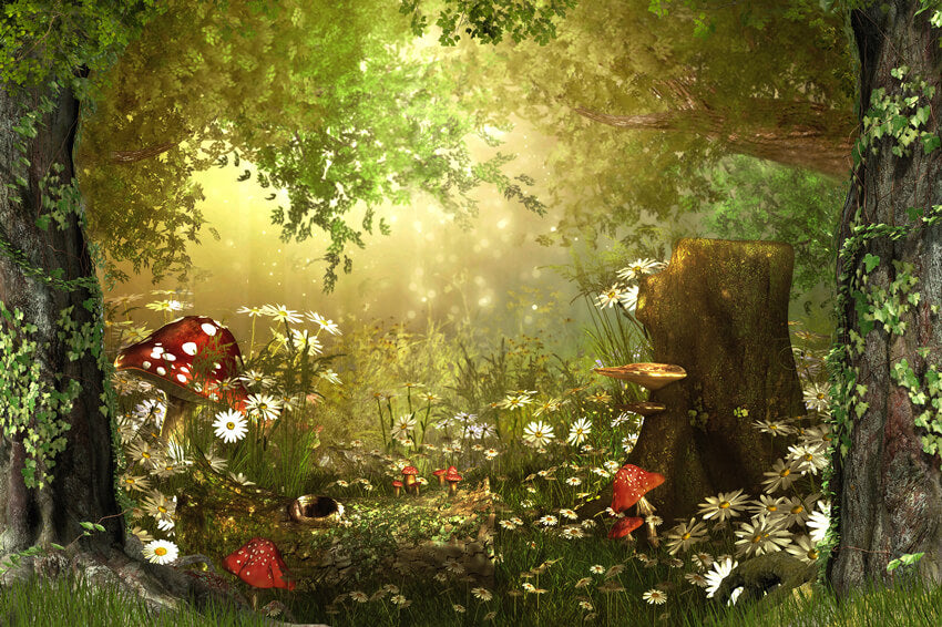 Fairy Tale Wonderland Forest Mushrooms Backdrop UK M6-126