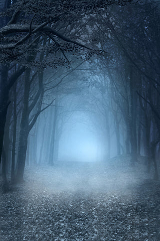 Misty Forest Halloween Photography Backdrop UK M6-127