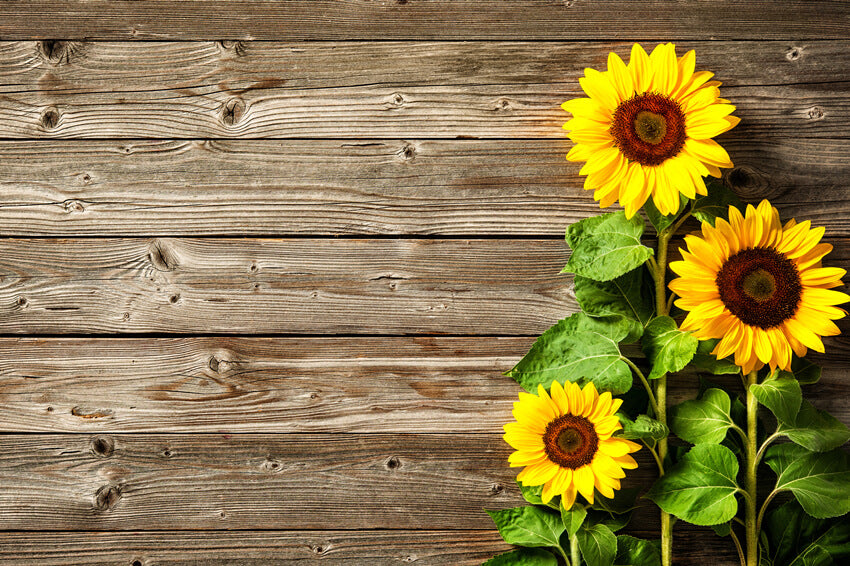 Sunflower Vintage Wood Photography Backdrop UK M6-13