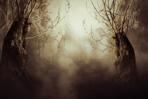 Spooky Tree Night Mist Halloween Backdrop UK M6-133