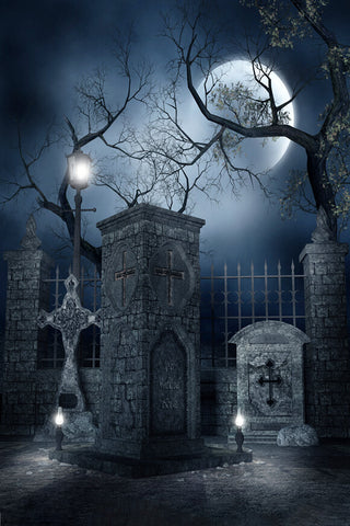 Halloween Moon Night Horror Grave Backdrop UK M6-136