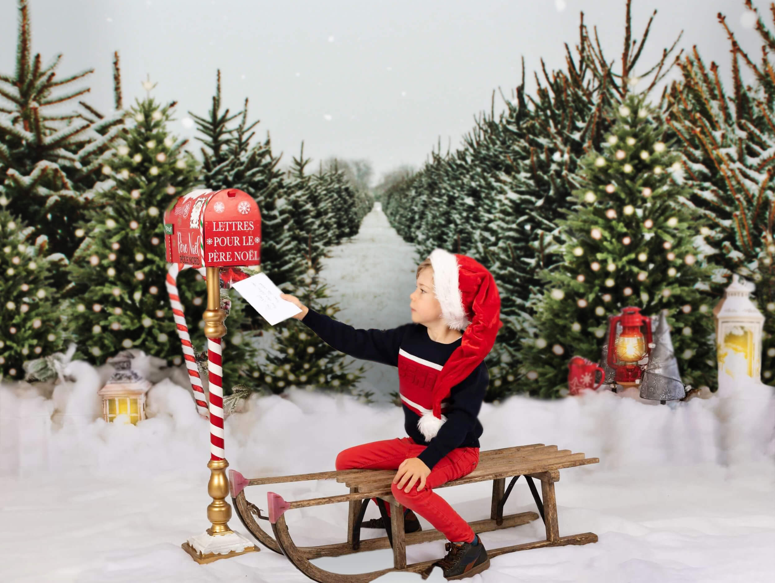 Christmas Tree Farm Winter Snow Backdrop UK M6-147