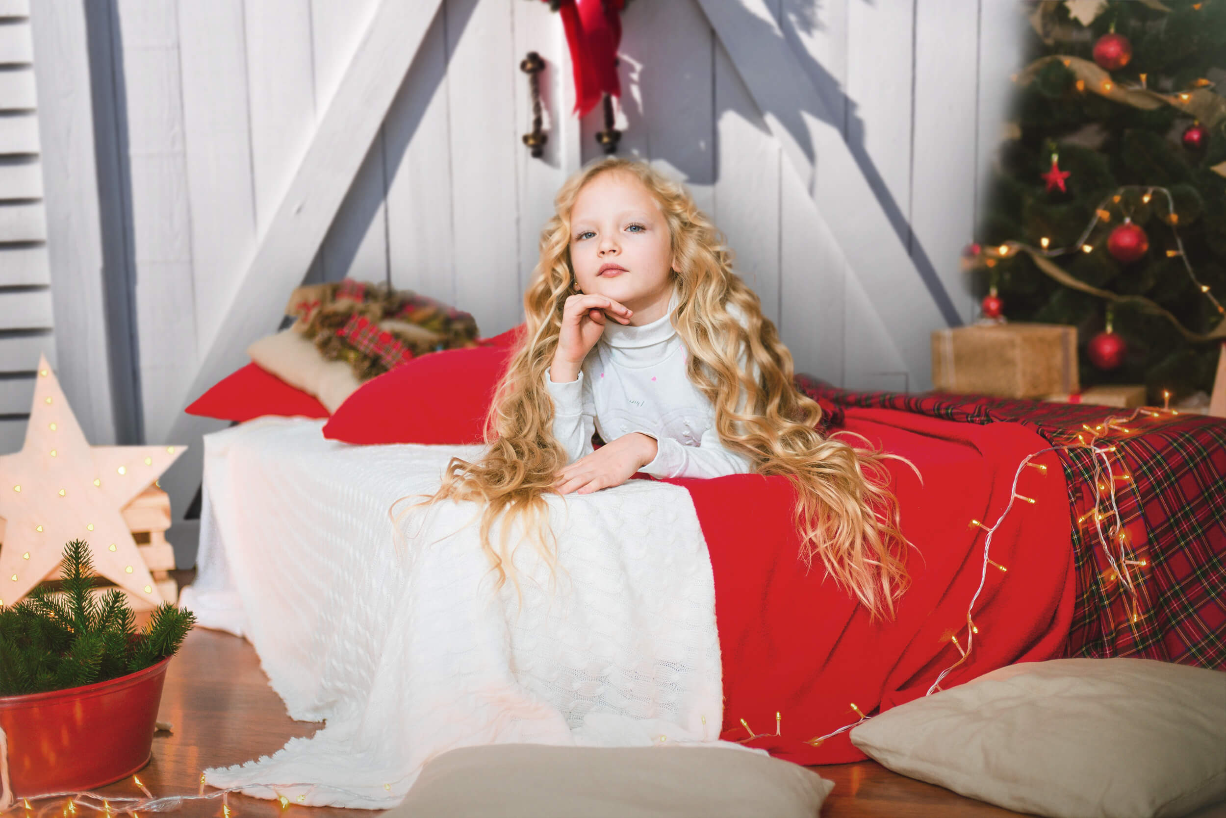 Christmas Wreath On Wooden Barn Door Backdrop UK M6-152