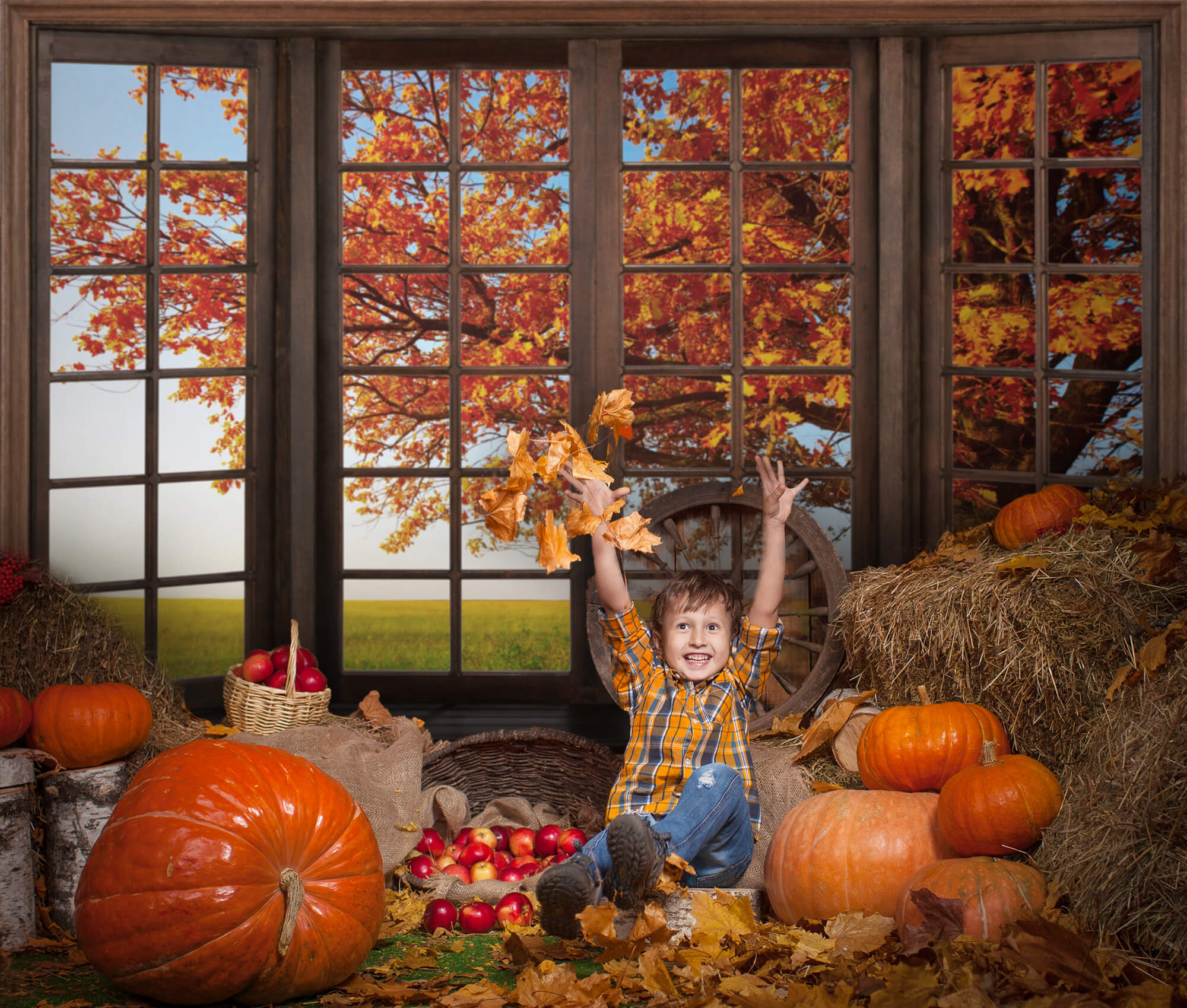 Autumn Marple Leaves Window View Backdrop UK M6-40