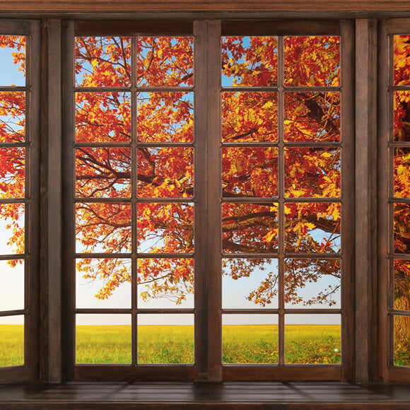 Autumn Marple Leaves Window View Backdrop UK M6-40