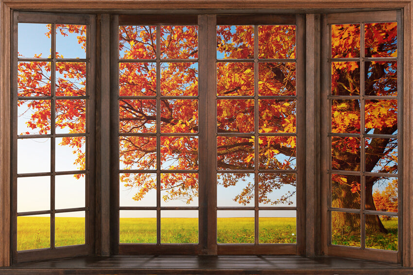 Autumn Marple Leaves Window View Backdrop UK M6-40