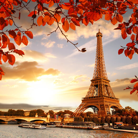 Eiffel Tower Maple Leaves Sunset Scenery Backdrop UK M6-43