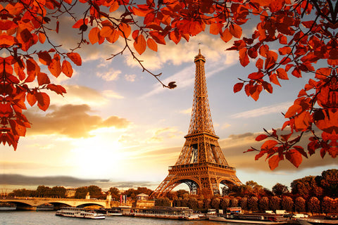 Eiffel Tower Maple Leaves Sunset Scenery Backdrop UK M6-43