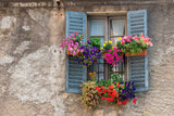 Vintage Window Colorful Flowers Wall Backdrop UK M6-81