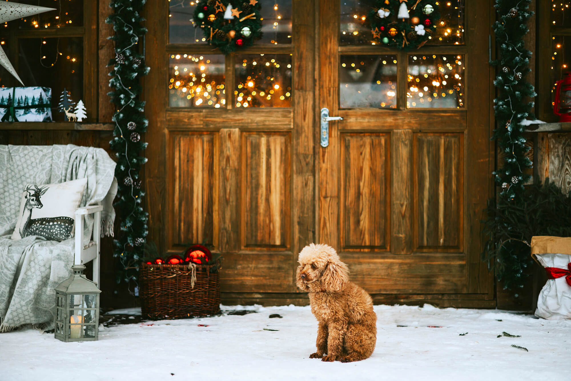 Christmas Lights Decorated Village House Backdrop UK M6-91