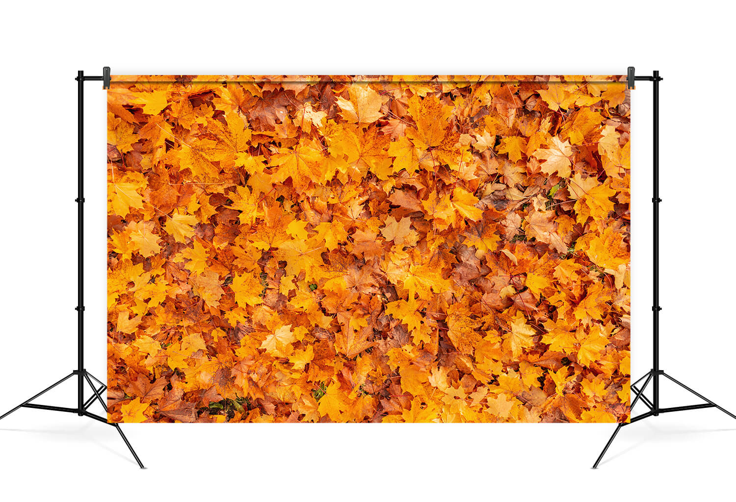 Autumn Golden Maple Leaves Photography Backdrop UK M6-97