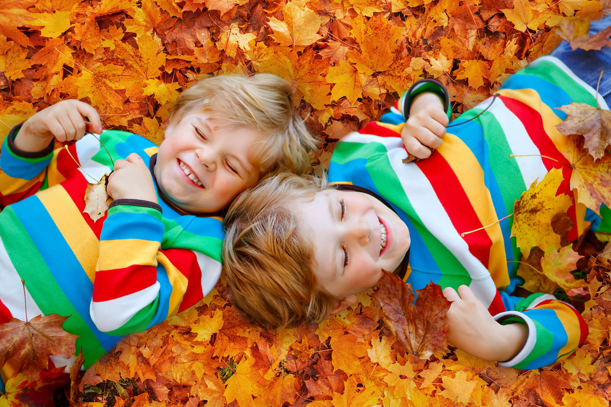 Autumn Golden Maple Leaves Photography Backdrop UK M6-97