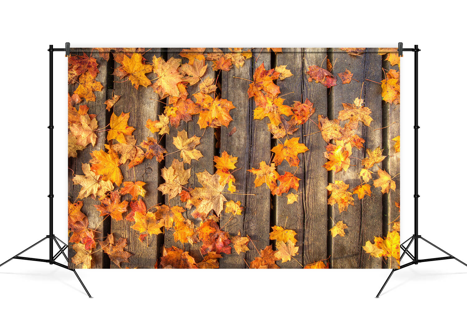 Maple Leaves on Wooden Floor Autumn Backdrop UK M6-98