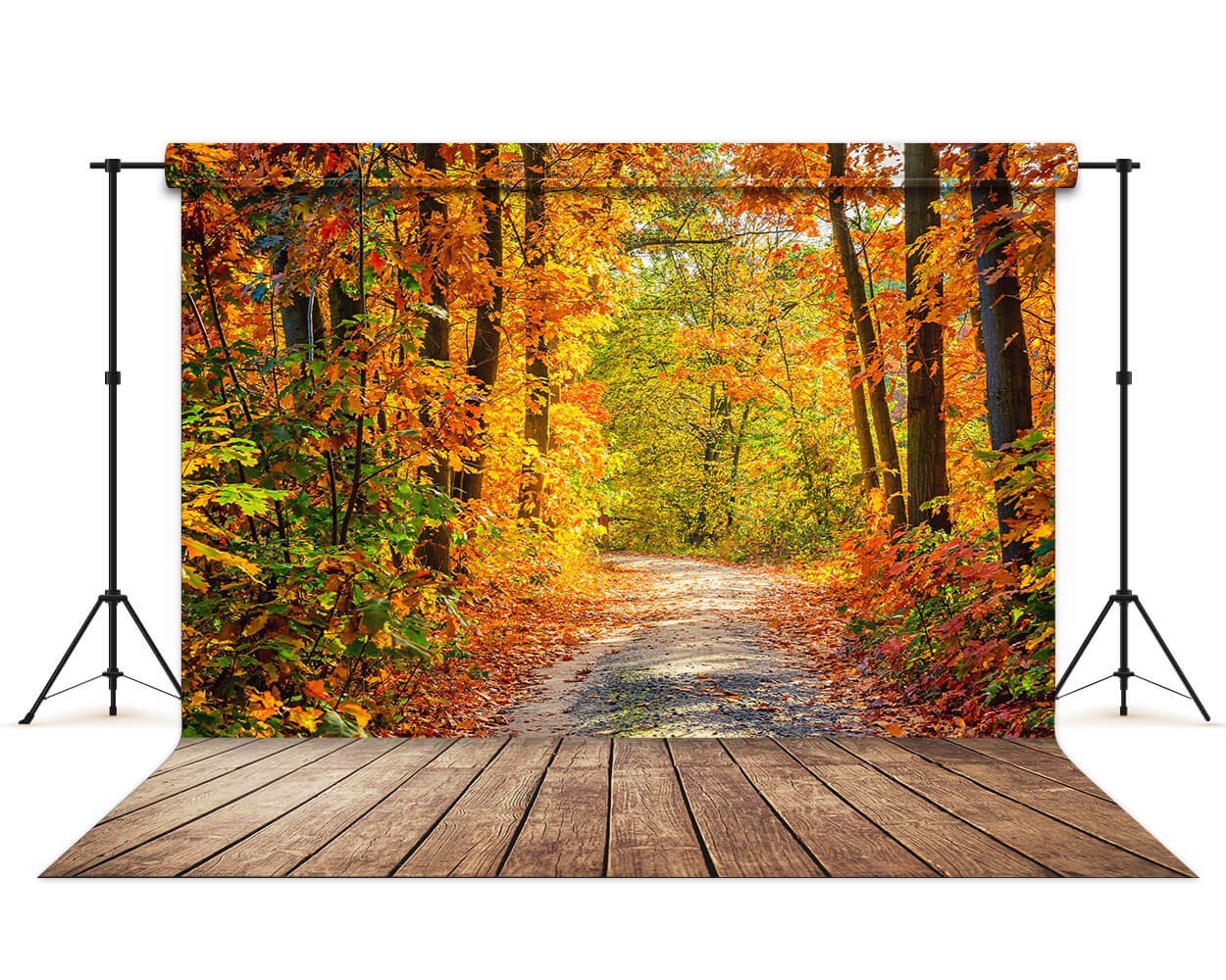 Beautiful Autumn Forest Lane Maple Trees Backdrop UK M6-99