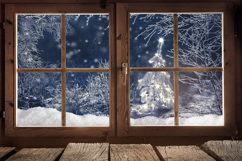 Winter Snowy Forest Window Scenery Backdrop UK M7-19