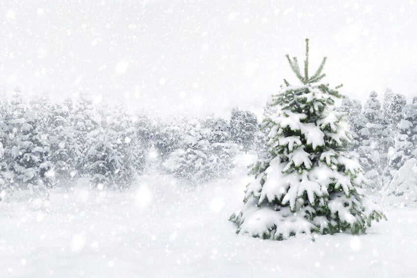 Winter Forest Snow Tree Photography Backdrop UK M7-23