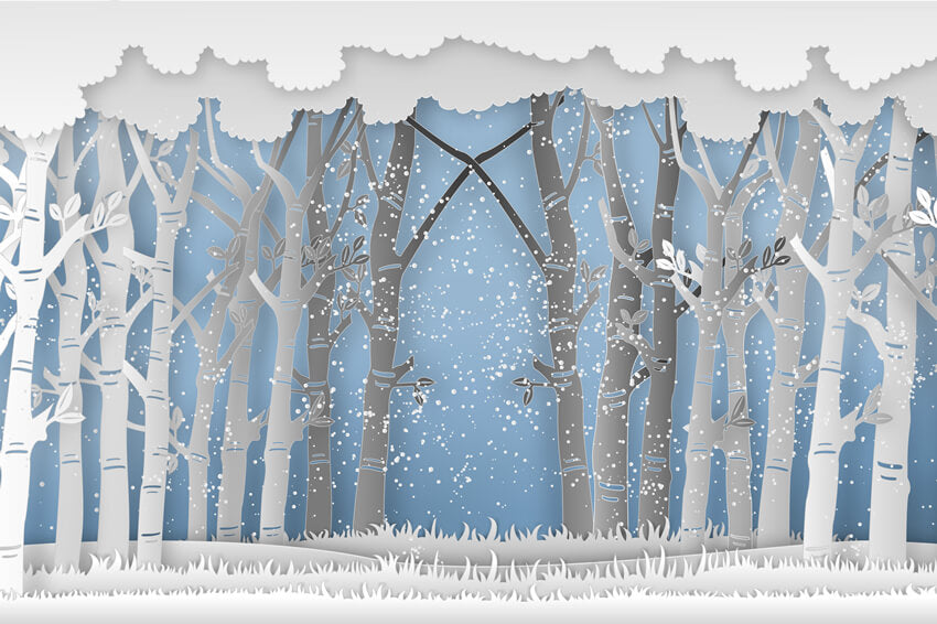 Winter Snowy Forest Tall Trees Grassland Backdrop UK M7-25